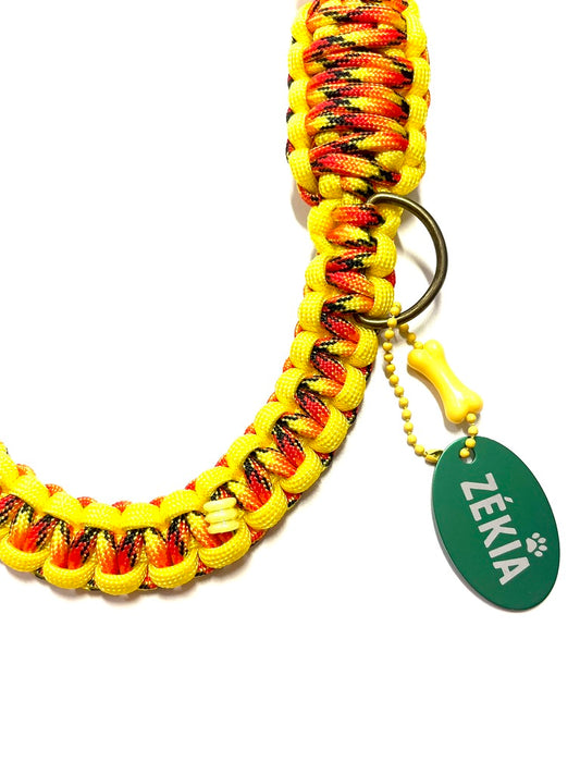 Laisse pour chien en paracorde faite main à Marseille - Zékia accessoires artisanaux