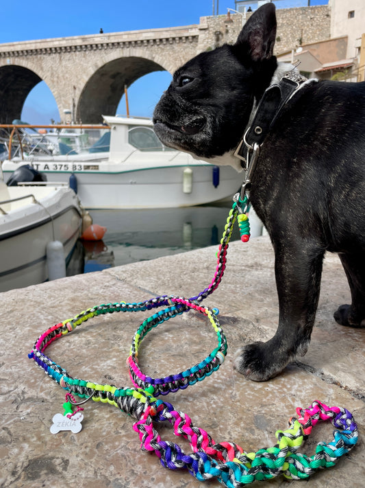 laisse chien balade paracorde solide fait main vichy noir blanc multicolore