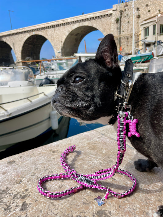laisse chien balade paracorde solide fait main vichy noir blanc rose