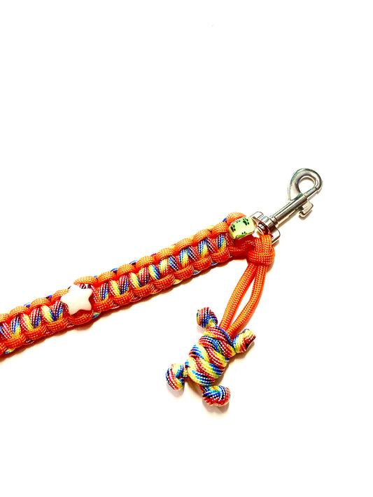 Laisse pour chien en paracorde faite main à Marseille - Zékia accessoires artisanaux