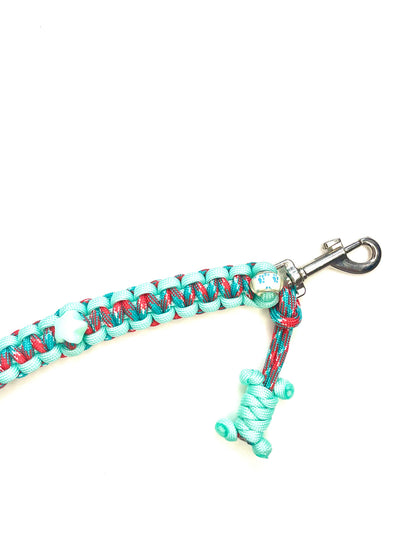 Laisse pour chien en paracorde faite main à Marseille - Zékia accessoires artisanaux