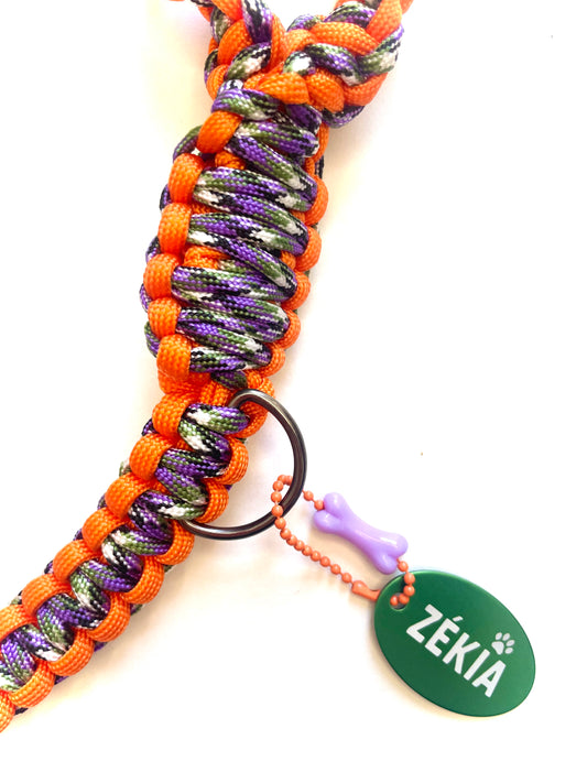 Laisse pour chien en paracorde faite main à Marseille - Zékia accessoires artisanaux