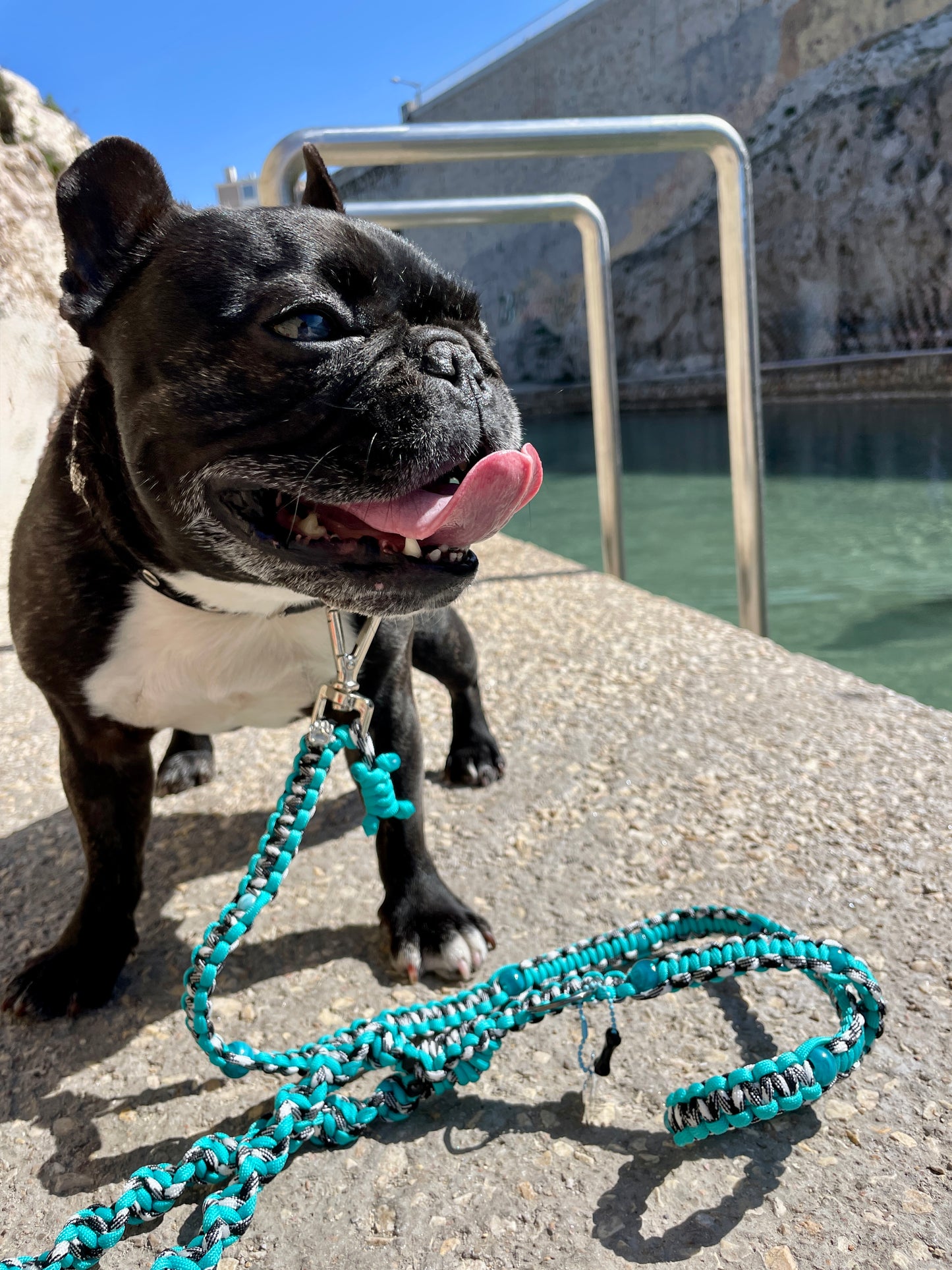 laisse chien balade paracorde fait main vichy noir blanc turquoise 