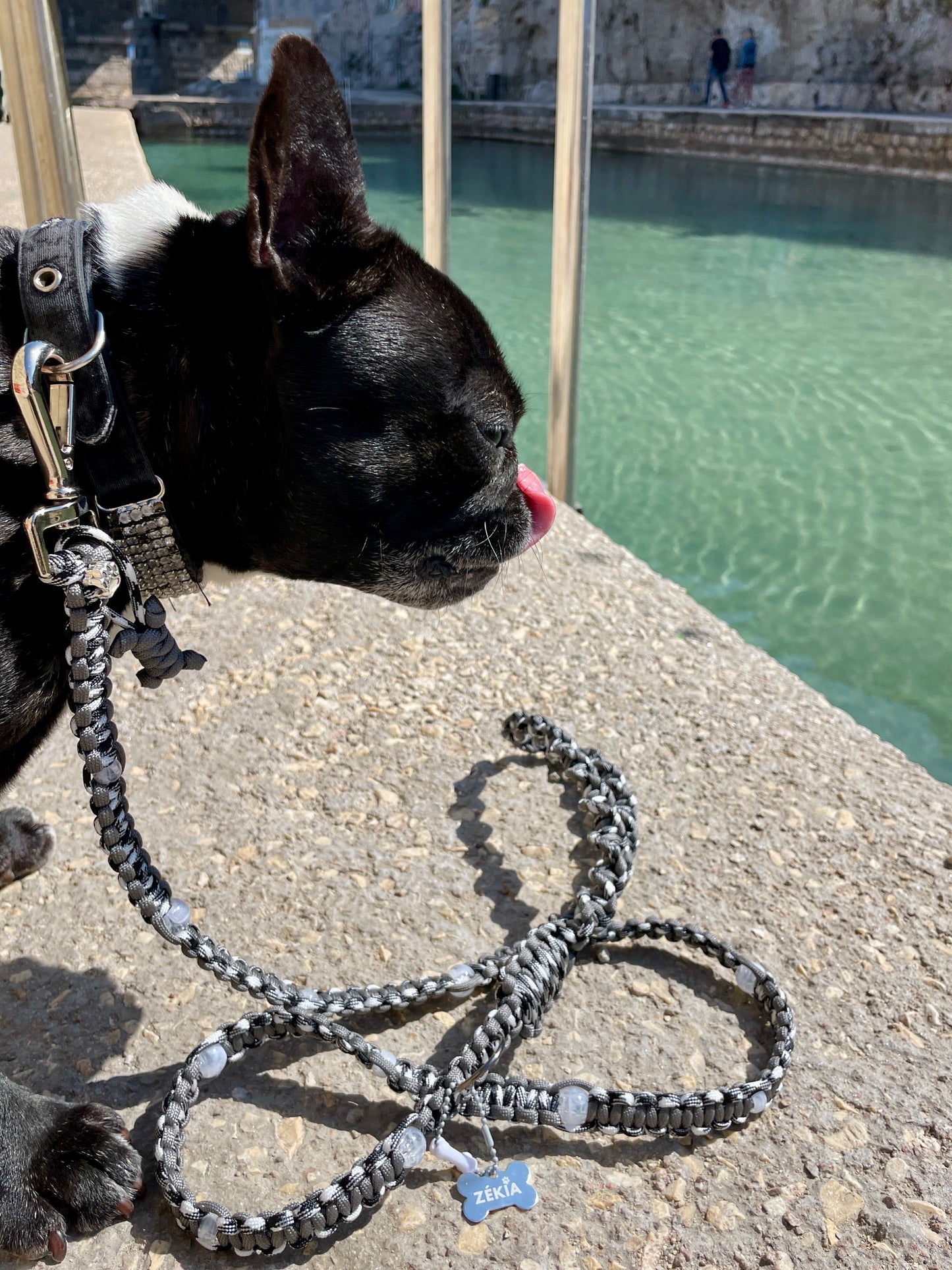 laisse chien balade paracorde solide fait main vichy noir blanc grise