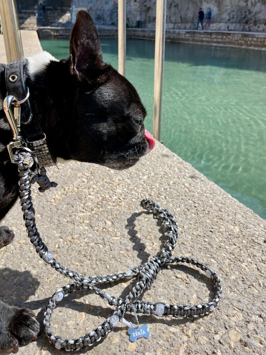 laisse chien balade paracorde solide fait main vichy noir blanc grise