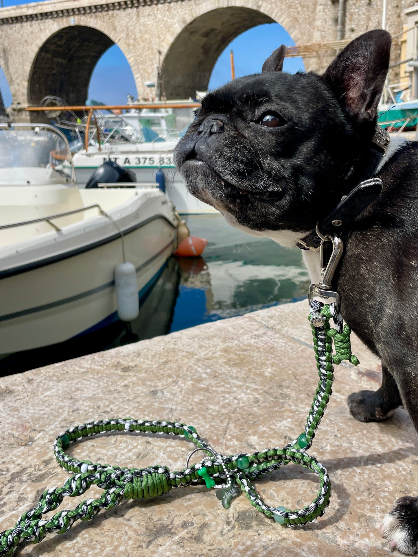 laisse chien balade paracorde solide fait main vichy noir blanc vert