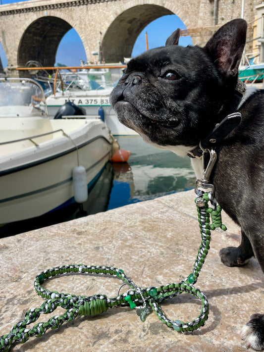 laisse chien balade paracorde solide fait main vichy noir blanc vert
