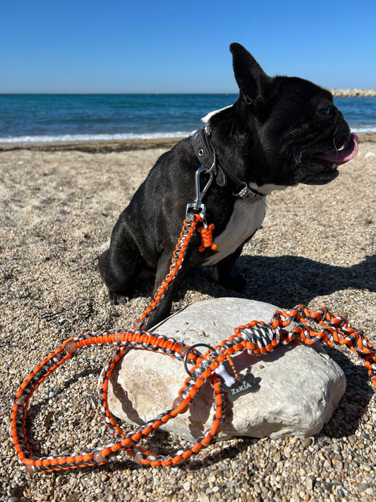 laisse chien balade paracorde solide fait main vichy noir blanc orange