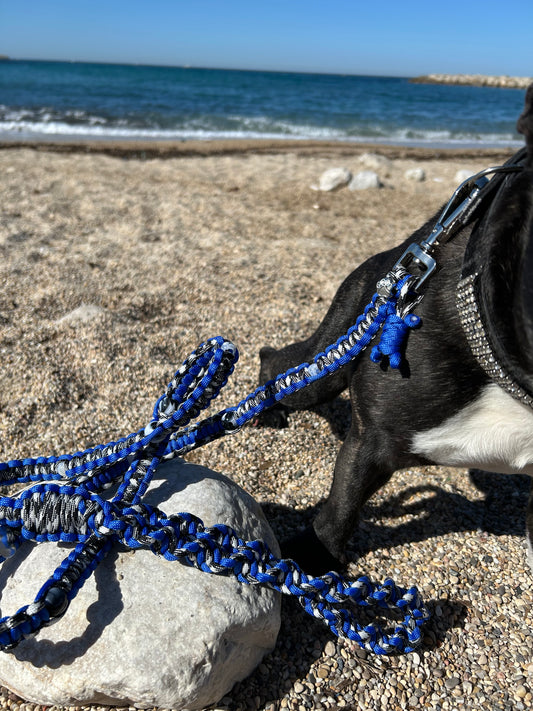 laisse chien balade paracorde solide fait main vichy noir blanc bleu